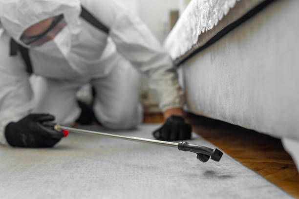 Professional Bed Bug Control technician working in Pleasant Hill, IA